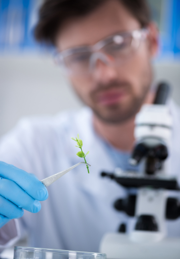 Diplôme d’ingénieur spécialité Génie Biologique (GB) illustration